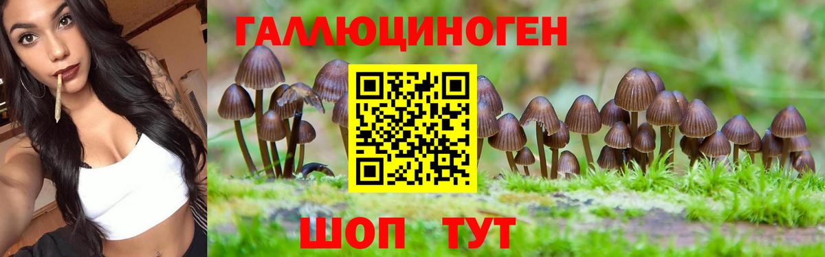 Псилоцибиновые грибы Magic Shrooms  Вход с VPN  Волоколамск 
